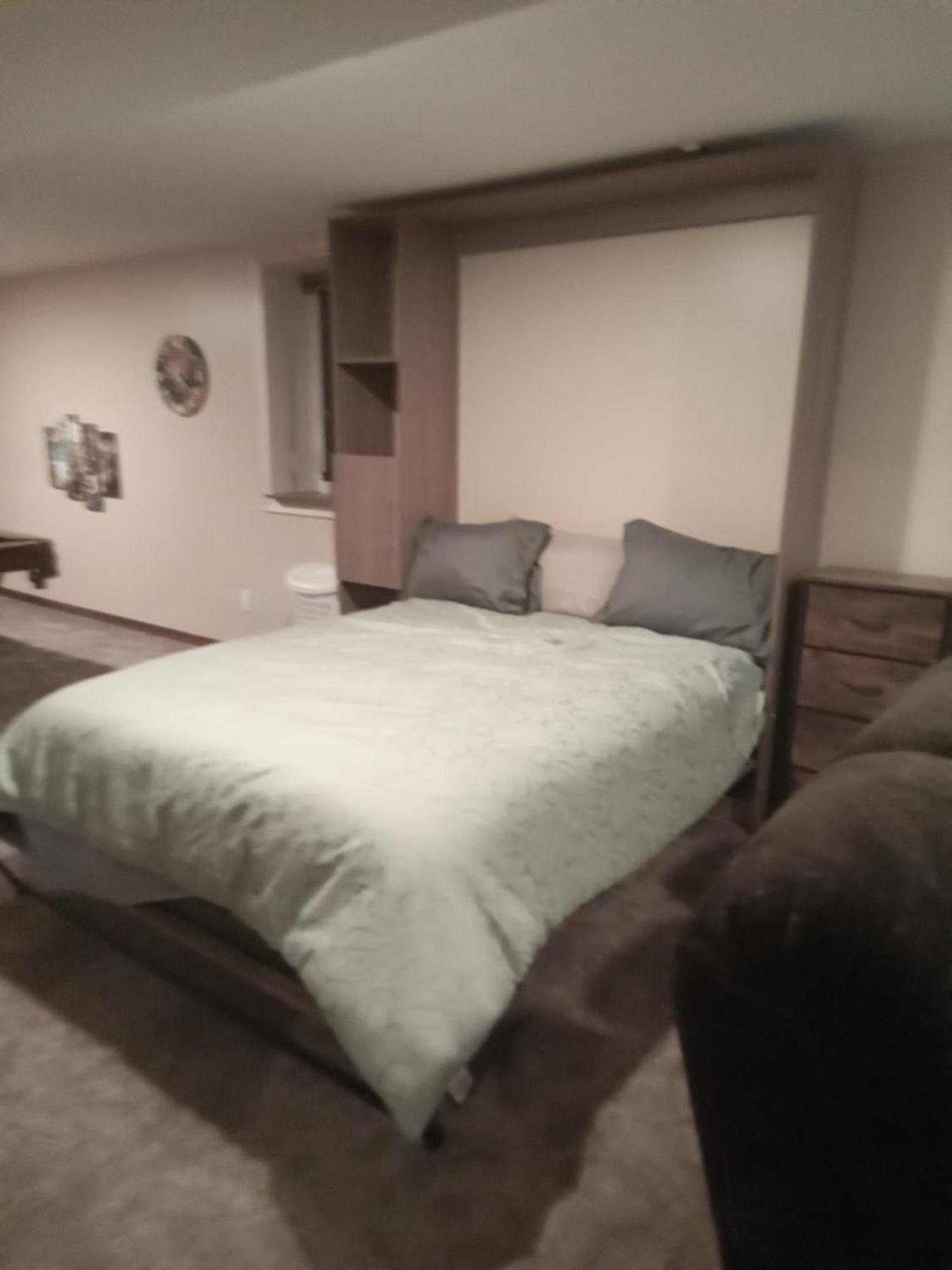 Super Suite With Sauna, Pool Table And Arcade Game Lansing Extérieur photo